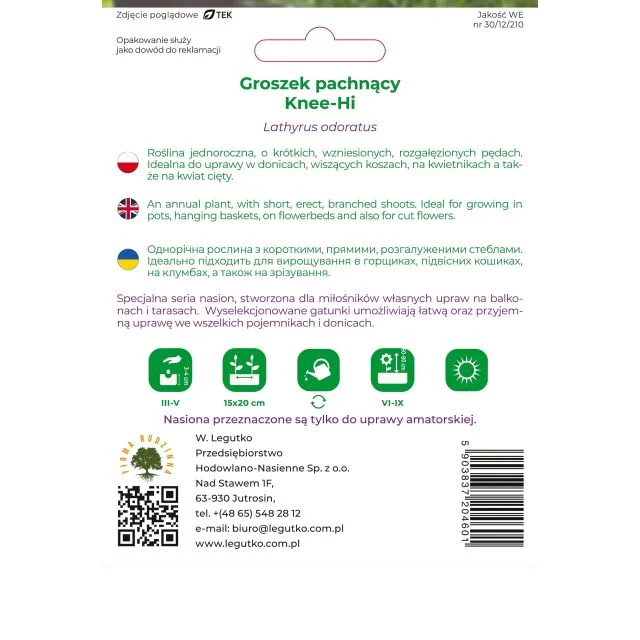 Groszek pachnacy niski 5g Domowy Ogród w Doniczce