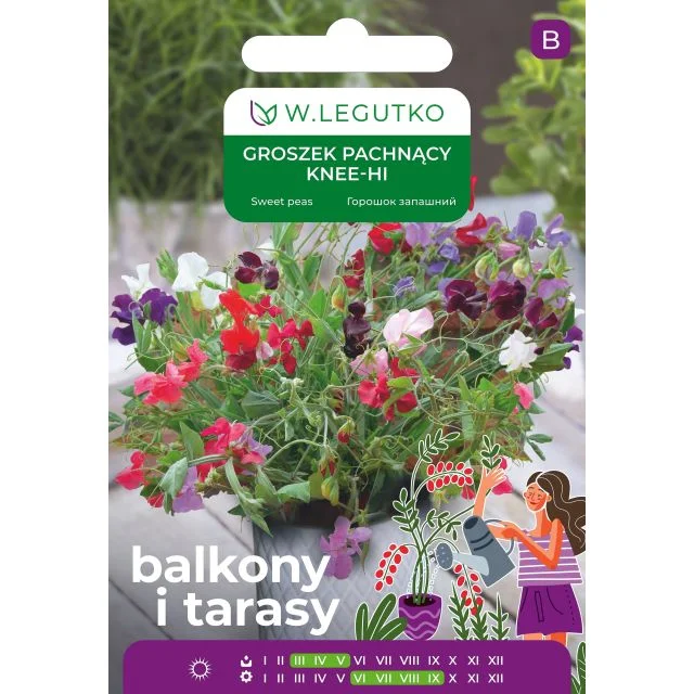 Groszek pachnacy niski 5g Domowy Ogród w Doniczce