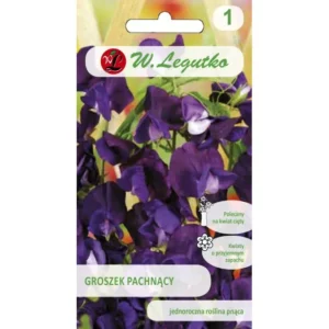 Groszek pachnący wiśniowo-fioletowy 3g W.Legutko