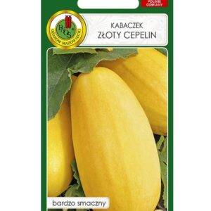 PNOS DYNIA KABACZEK ZŁOTY CEPELIN