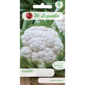 KALAFIOR BOLA DE NIEVE X LEGUTKO
