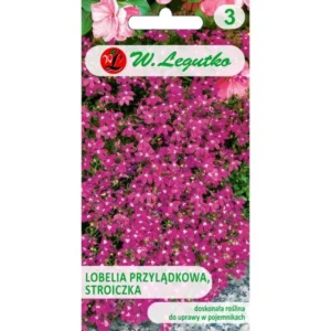 Lobelia przylądkowa, Stroiczka karminowoczerwone Legutko
