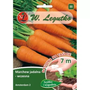 Marchew jadalna wczesna Amsterdam 2 7m taśma W.Legutko