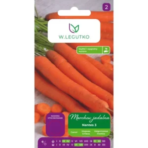 Marchew jadalna Nantes 3 nasiona 1 g