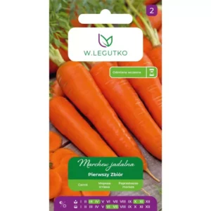 LEGUTKO MARCHEW JADALNA PIERWSZY ZBIÓR