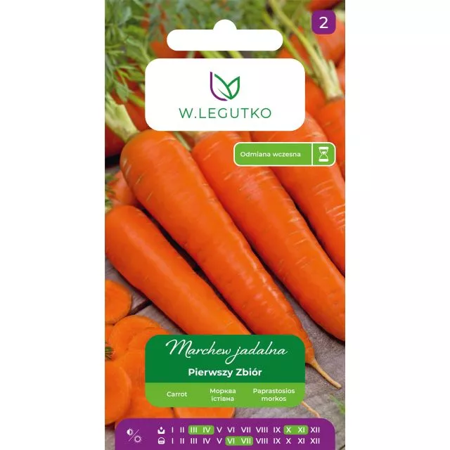 LEGUTKO MARCHEW JADALNA PIERWSZY ZBIÓR