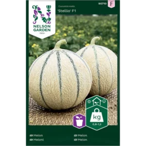 Nelson Garden Melon 'Stellio’ F1 4 ziarna