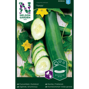 OGÓREK GRUNTOWY TANJA NELSON GARDEN