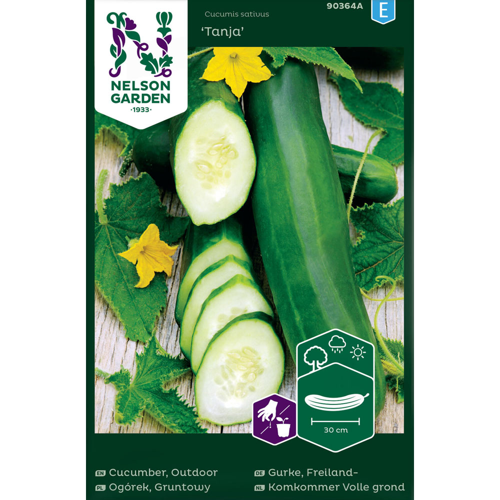 OGÓREK GRUNTOWY TANJA NELSON GARDEN