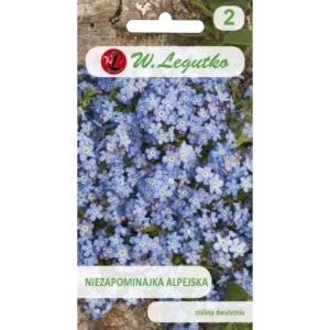 Niezapominajka alpejska niebieskie Legutko