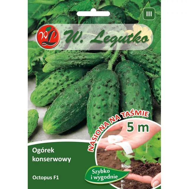 Ogórek konserowowy Octopus F1 nasiona na taśmie 5 m