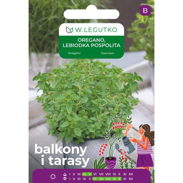 Nasiona Oregano, Lebiodka 5g