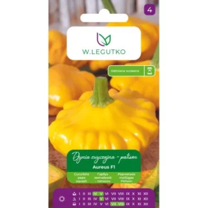 DYNIA ZWYCZAJNA AUREUS F1 LEGUTKO