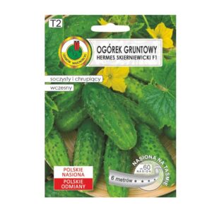 PNOS OGÓREK GRUNTOWY HERMES SKIERNIEWICKI F1 6M
