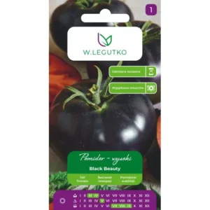 Pomidor Black Beauty 0,2g Legutko