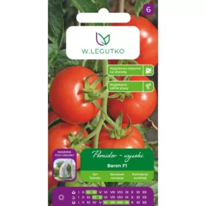 LEGUTKO POMIDOR SZKLARNIOWY BARON F1