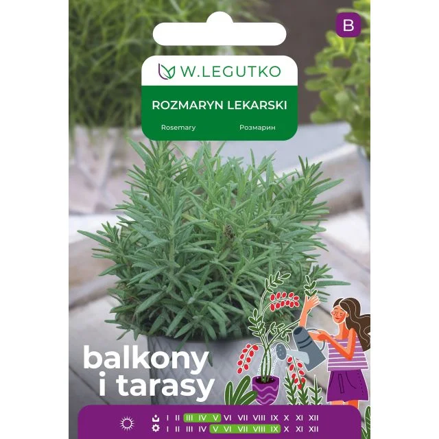 Rozmaryn lekarski 0.10g W.Legutko