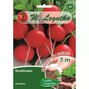 Rzodkwie i rzodkiewki CARMESA nasiona 1 g