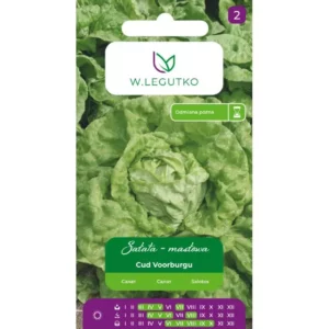 LEGUTKO SAŁATA CUD VORBURGU