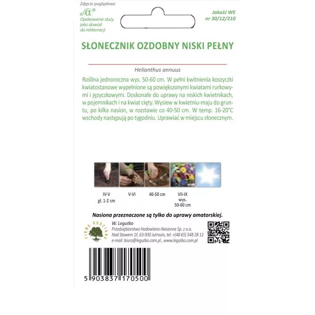 SŁONECZNIK OZDOBNY KARŁ TEDDY BEAR LEGUTKO