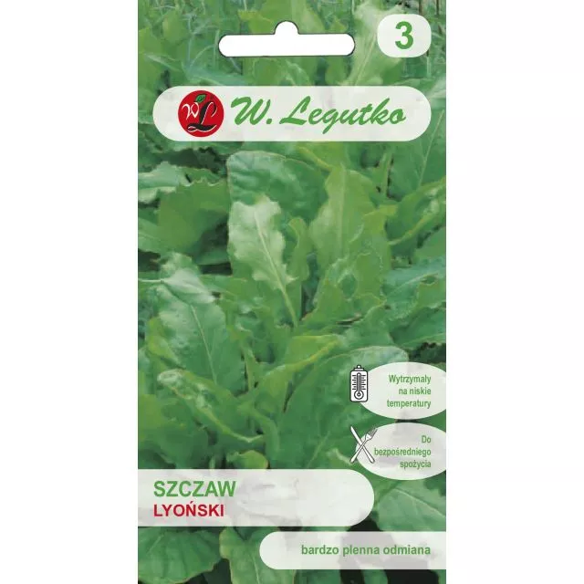 LEGUTKO SZCZAW LYOŃSKI