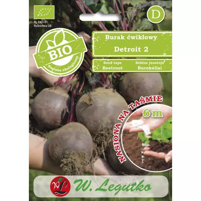 Burak ćwikłowy BIO Detroit 2 6m taśma W.Legutko