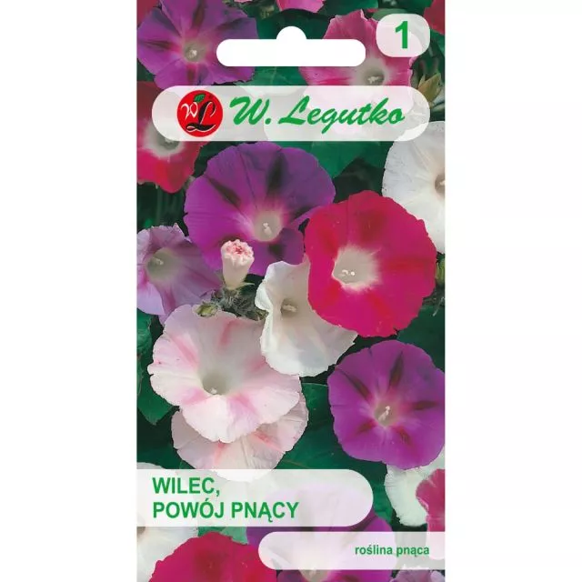 LEGUTKO WILEC POWÓJ PNĄCY MIESZANKA