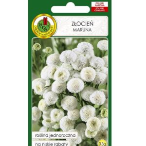 PNOS ZOCIEŃ MARUNA SNOWBALL BIAŁY